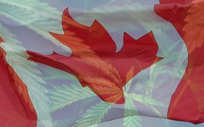Legal Weed: What you need to know