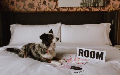 Toronto’s 58-room heritage hotel adds to their elevated boutique experience