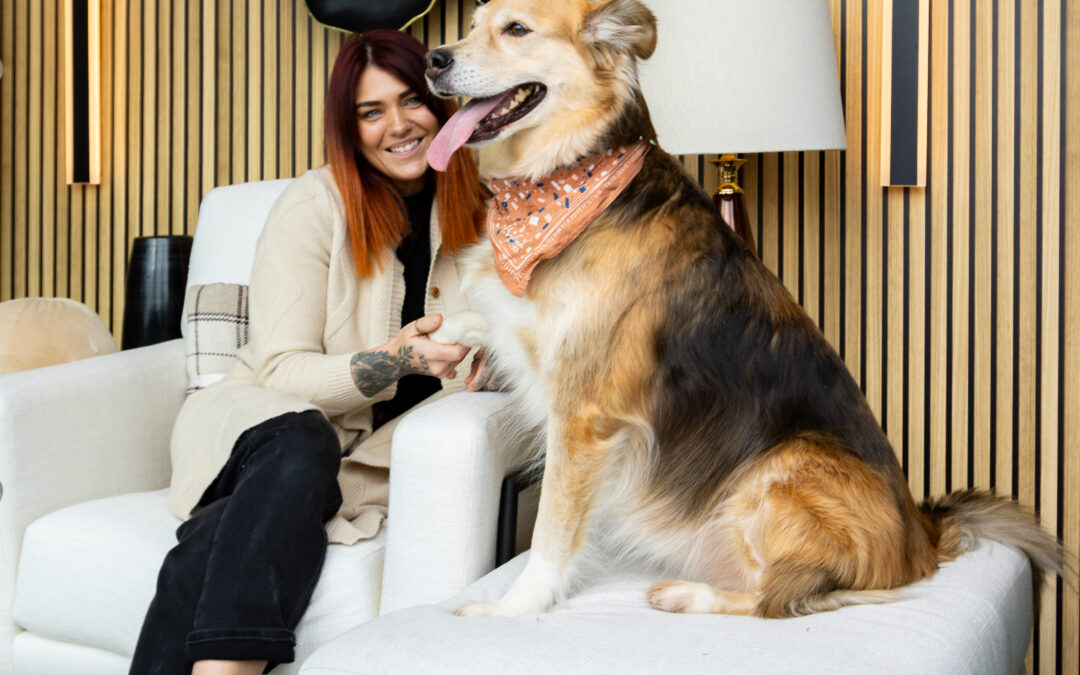 The luxury your pets deserve