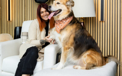 The luxury your pets deserve