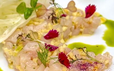 Tasting at 1147 Restaurant: Intimacy, Artistry, and Awe